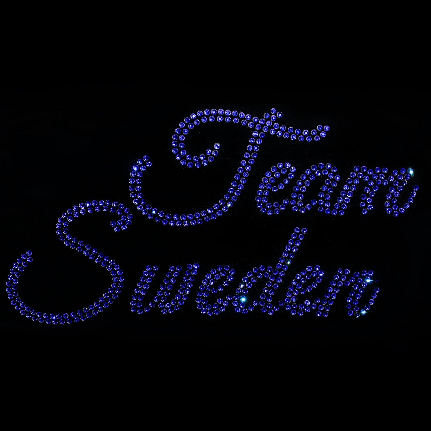 Team Sweden 24x13 cm